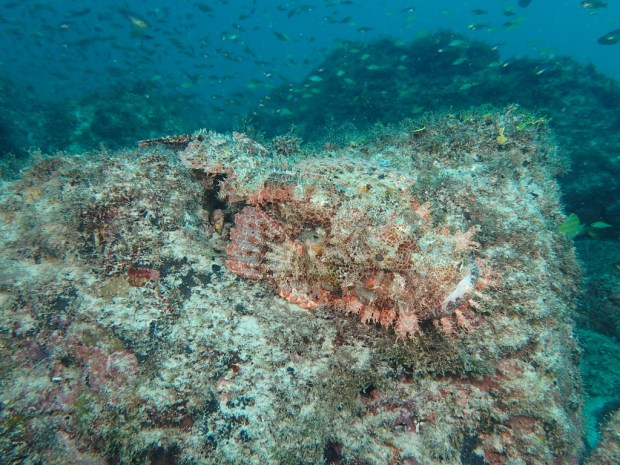 UNADJUSTEDNONRAW_thumb_c186