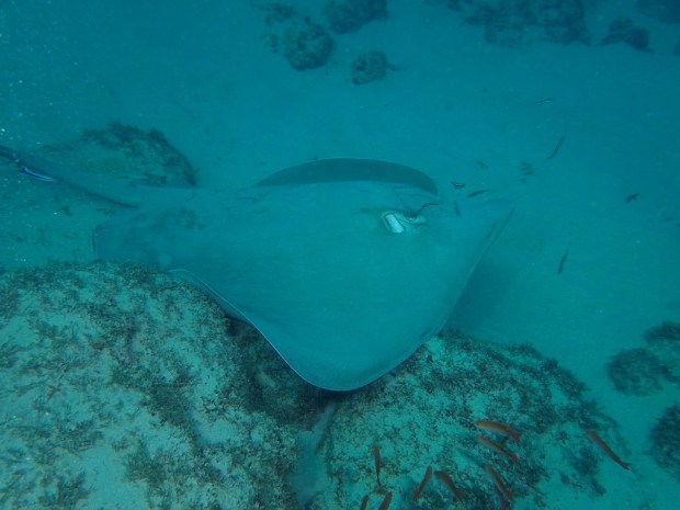 UNADJUSTEDNONRAW_thumb_c18c