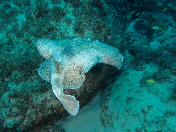 UNADJUSTEDNONRAW_thumb_c246