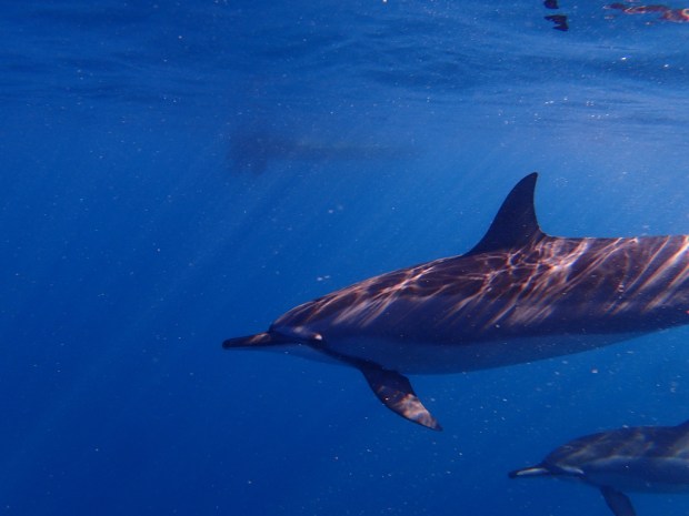 UNADJUSTEDNONRAW_thumb_c2ee