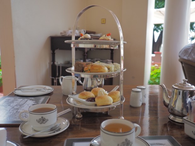 UNADJUSTEDNONRAW_thumb_c5af