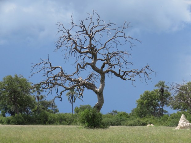 UNADJUSTEDNONRAW_thumb_c9f2