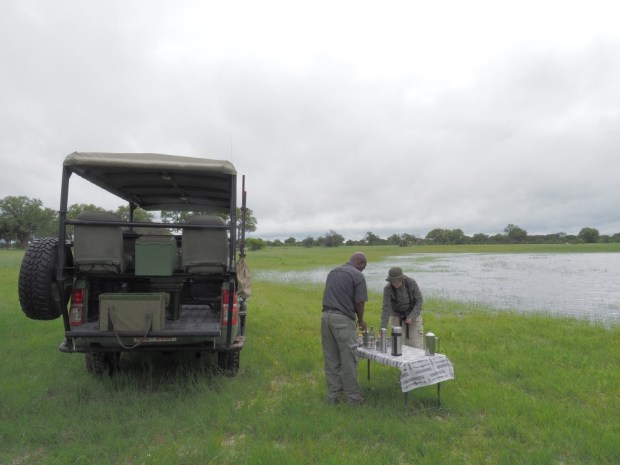 UNADJUSTEDNONRAW_thumb_c4b3