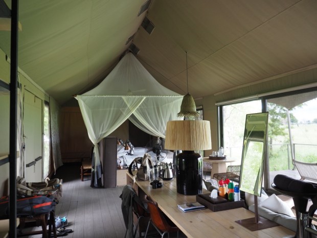 UNADJUSTEDNONRAW_thumb_c4c7