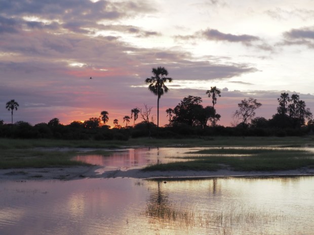 UNADJUSTEDNONRAW_thumb_c5fe