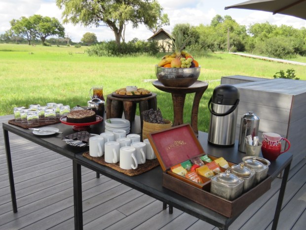 UNADJUSTEDNONRAW_thumb_c6f4