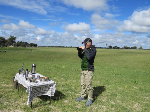 UNADJUSTEDNONRAW_thumb_cab4