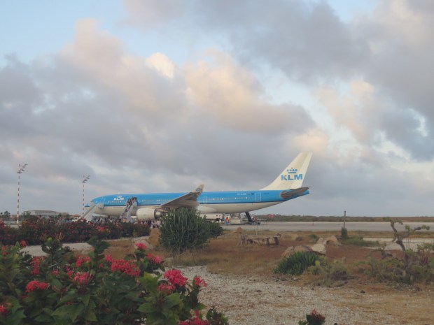 UNADJUSTEDNONRAW_thumb_d5bc