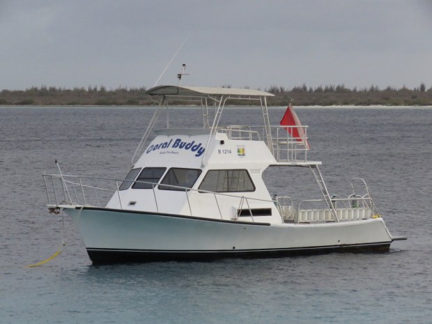 UNADJUSTEDNONRAW_thumb_d5cf