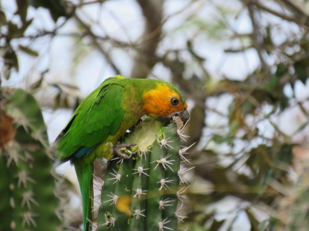 UNADJUSTEDNONRAW_thumb_d62b