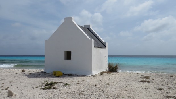 UNADJUSTEDNONRAW_thumb_d66a