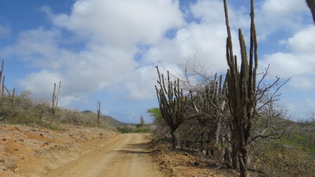 UNADJUSTEDNONRAW_thumb_d6ac