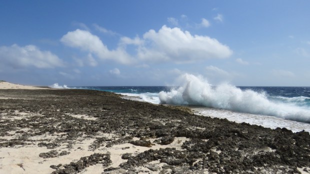 UNADJUSTEDNONRAW_thumb_d6b3