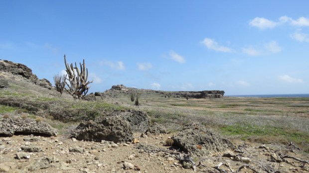 UNADJUSTEDNONRAW_thumb_d6b5