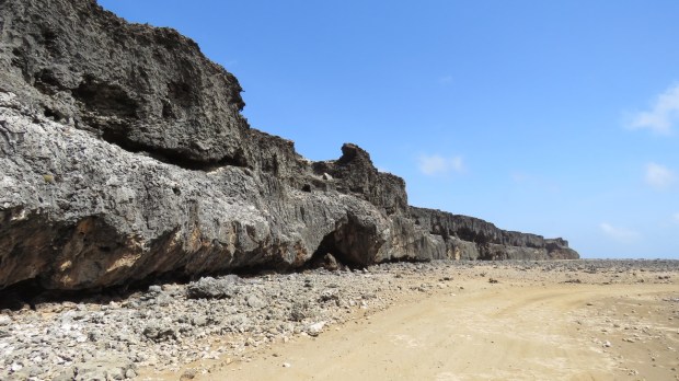 UNADJUSTEDNONRAW_thumb_d6b8