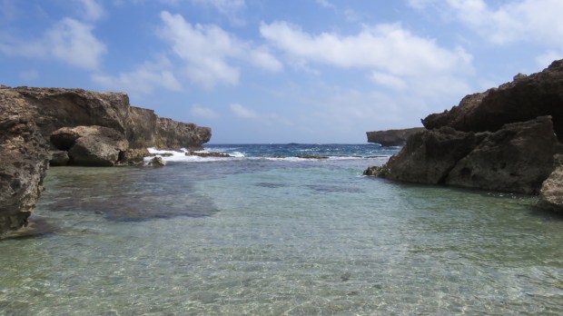 UNADJUSTEDNONRAW_thumb_d6f2