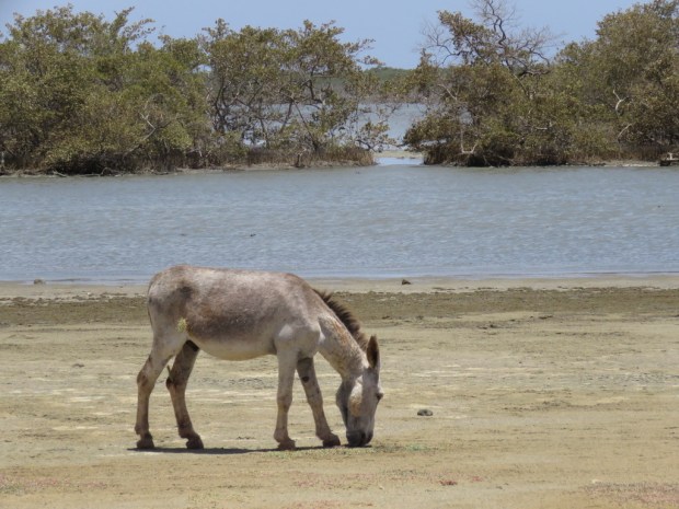 UNADJUSTEDNONRAW_thumb_d7db