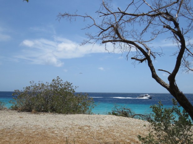 UNADJUSTEDNONRAW_thumb_d7f1