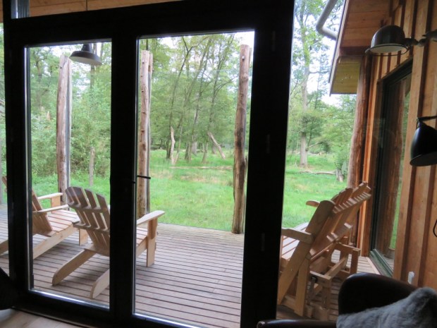 UNADJUSTEDNONRAW_thumb_803b