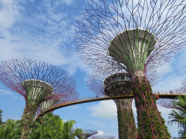 UNADJUSTEDNONRAW_thumb_e065