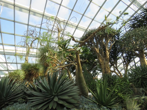 UNADJUSTEDNONRAW_thumb_e06e