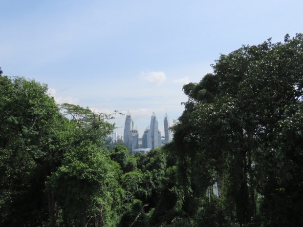 UNADJUSTEDNONRAW_thumb_e0bc