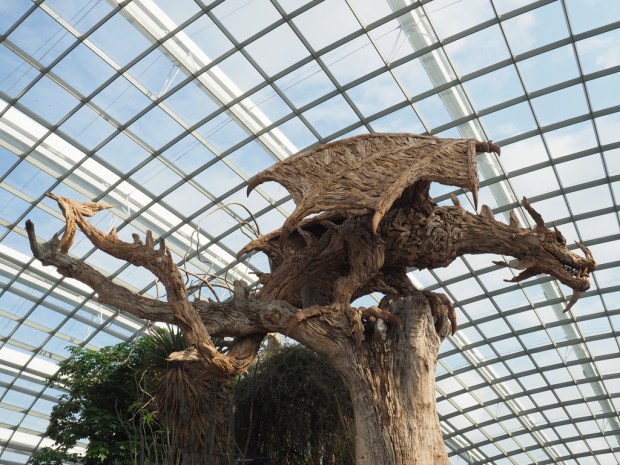 UNADJUSTEDNONRAW_thumb_e5b0