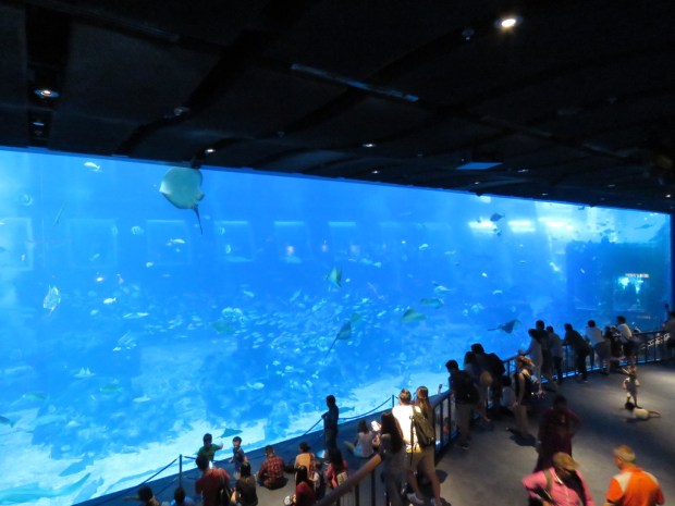 UNADJUSTEDNONRAW_thumb_e0ed