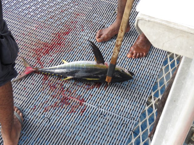 UNADJUSTEDNONRAW_thumb_e2b8