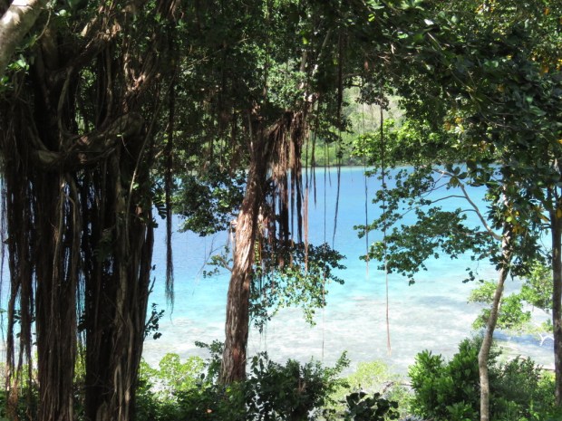 UNADJUSTEDNONRAW_thumb_e2ce