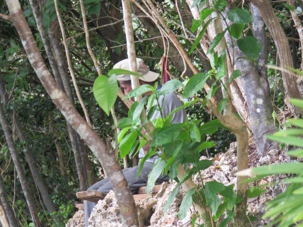 UNADJUSTEDNONRAW_thumb_e2db