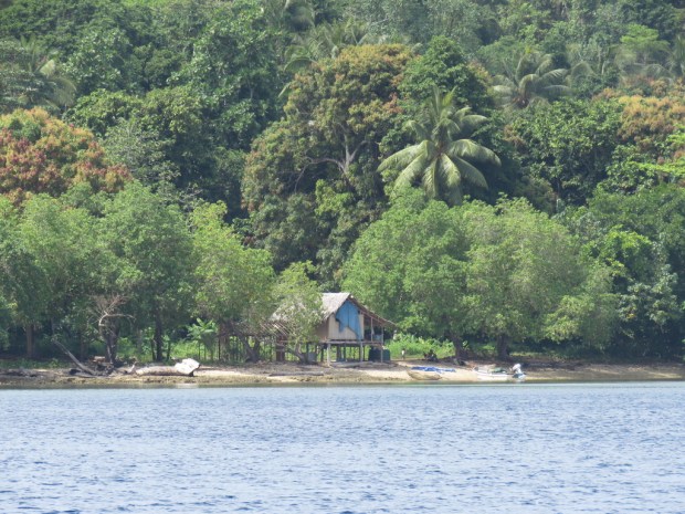 UNADJUSTEDNONRAW_thumb_e344