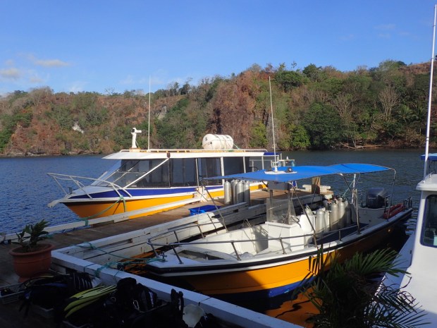 UNADJUSTEDNONRAW_thumb_e8e8