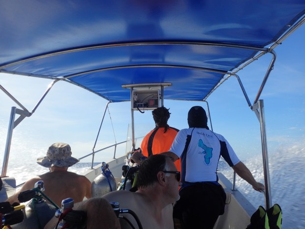 UNADJUSTEDNONRAW_thumb_e8fa