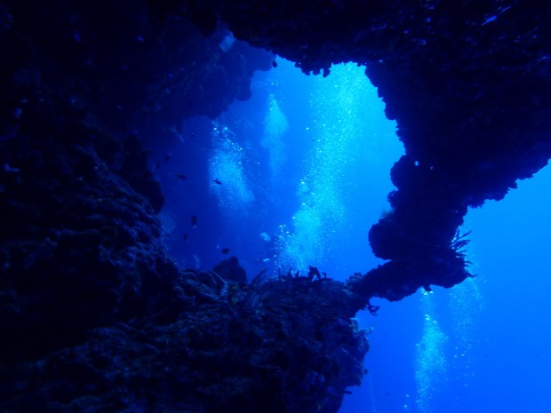 UNADJUSTEDNONRAW_thumb_e99e