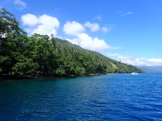 UNADJUSTEDNONRAW_thumb_e9d6