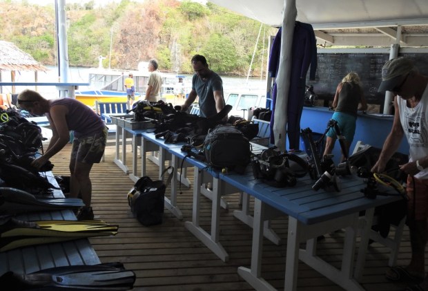 UNADJUSTEDNONRAW_thumb_ea25