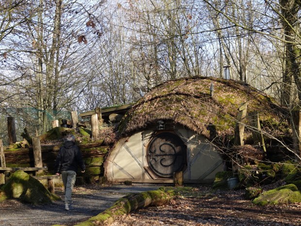 UNADJUSTEDNONRAW_thumb_eccf