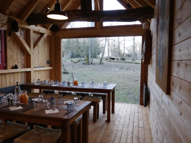 UNADJUSTEDNONRAW_thumb_ed0f