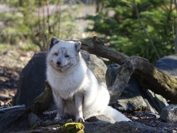 UNADJUSTEDNONRAW_thumb_ed7e