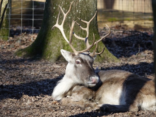 UNADJUSTEDNONRAW_thumb_edb3