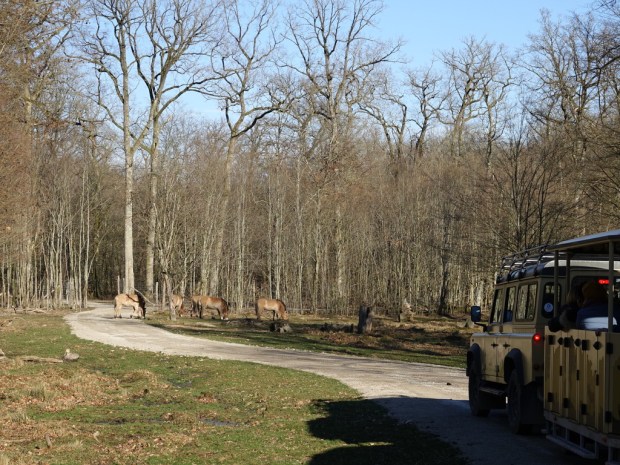 UNADJUSTEDNONRAW_thumb_edc4