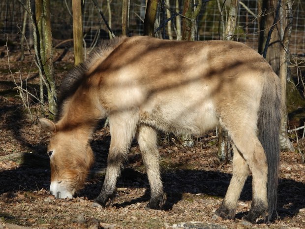 UNADJUSTEDNONRAW_thumb_edca