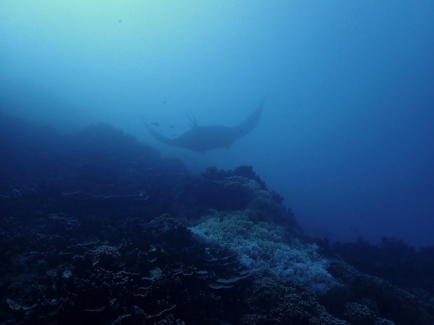 33610519758_5076e5c563_c