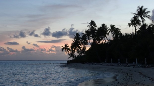 mInlHMB1RTyxREO32kmVnA_thumb_3487