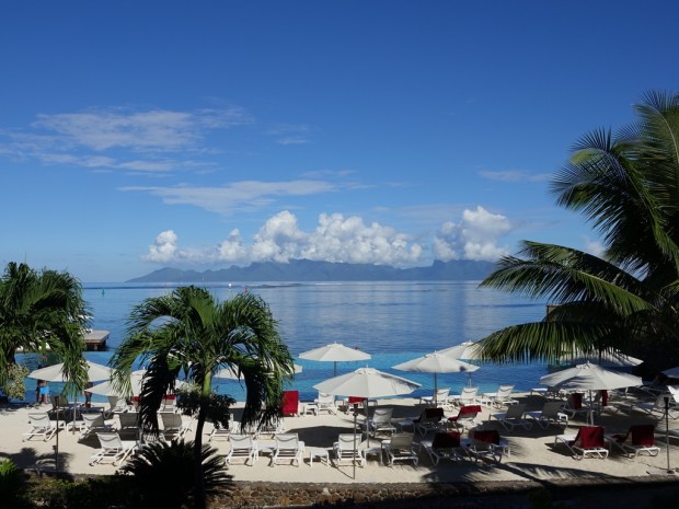 UNADJUSTEDNONRAW_thumb_3172