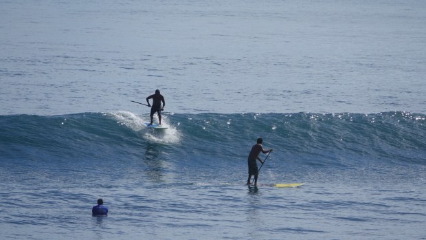 UNADJUSTEDNONRAW_thumb_31f1