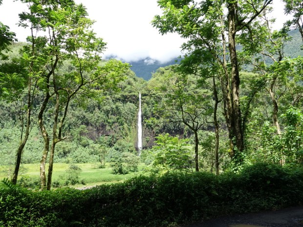 UNADJUSTEDNONRAW_thumb_3207