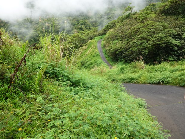 UNADJUSTEDNONRAW_thumb_3239