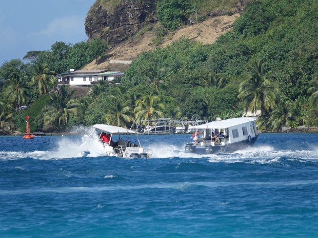 UNADJUSTEDNONRAW_thumb_ef91